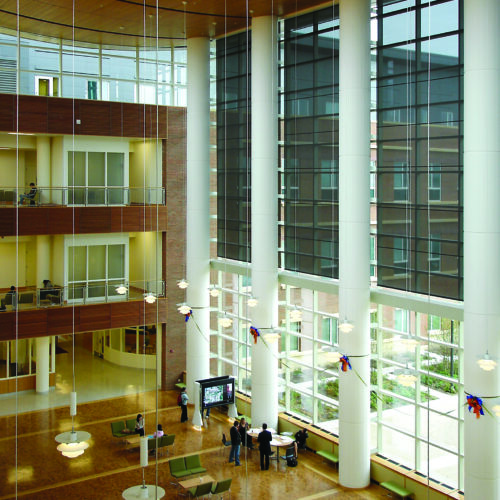 jacksonville college window treatments