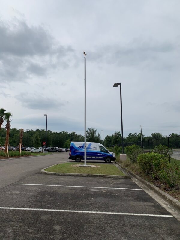 jacksonville commercial internal halyard flag pole