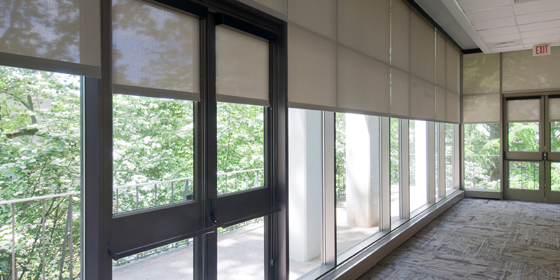 What blinds are best for an office?